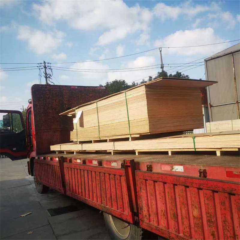 伊犁哈萨克至塔城货运专线，一站式物流服务助您成功